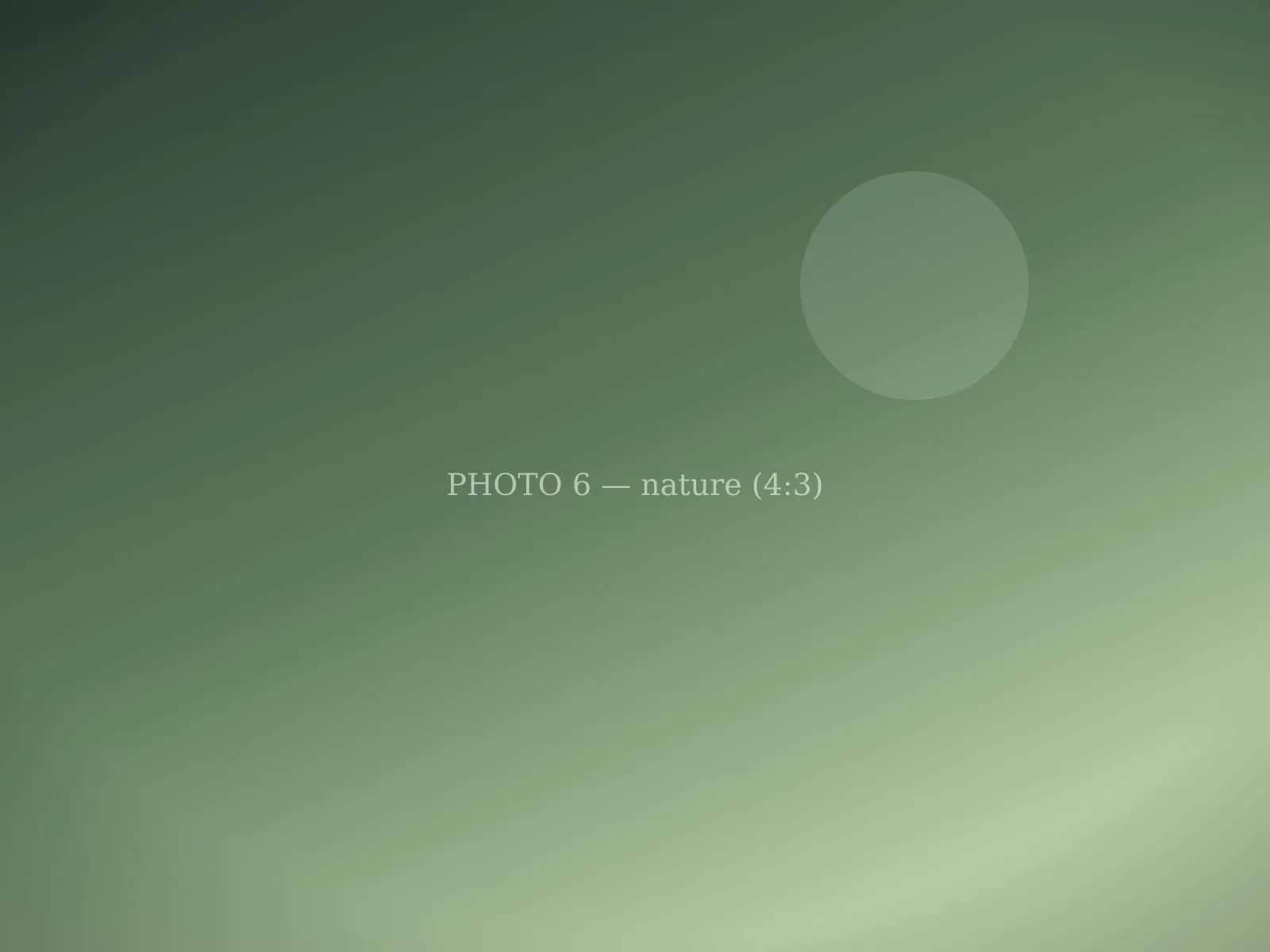 Nature photograph